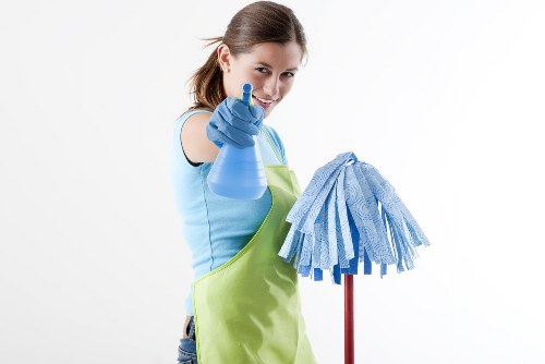 Professional sofa cleaning in Crystal Palace living room