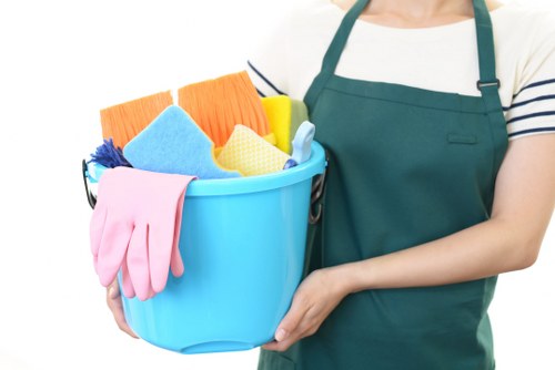 Crystal Palace Cleaners professional cleaning team providing detailed home cleaning service