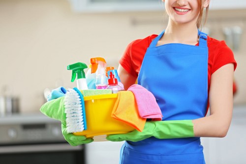 Professional carpet cleaning service in a Crystal Palace home