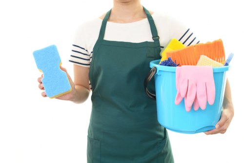 Crystal Palace cleaners providing professional home cleaning support