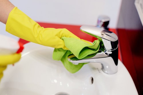 Professional cleaner in a Crystal Palace home