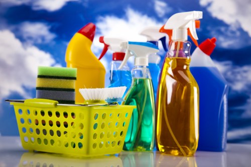 Cleaning professional wearing protective gloves and holding equipment in a safe work setting