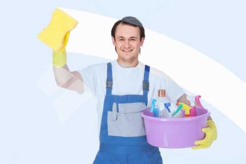 Crystal Palace domestic cleaning tools arranged for house cleaning