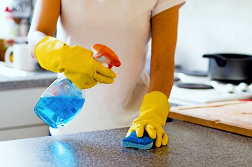 Service terms document with compliance and liability sections