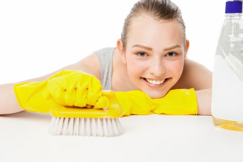 Bathroom domestic cleaning in Crystal Palace
