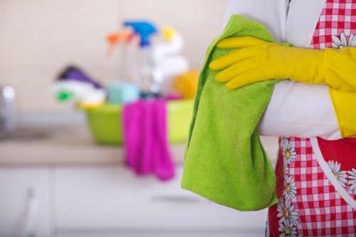 Cleaner maintaining a tidy living room in Crystal Palace