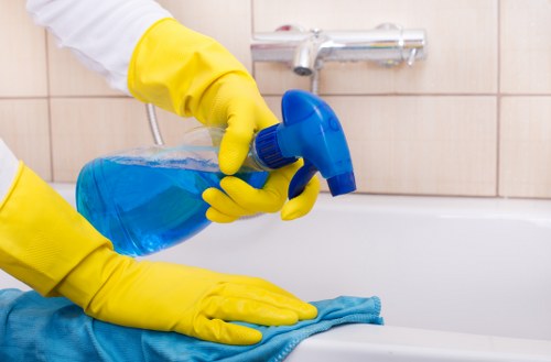 Pet-friendly upholstery cleaning service improving a sofa in Crystal Palace