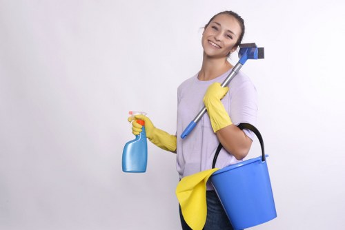 Deep carpet extraction by a cleaner in Crystal Palace