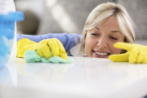 Regular house cleaning schedule for Crystal Palace household