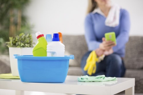 Commercial cleaner in Crystal Palace maintaining an office space