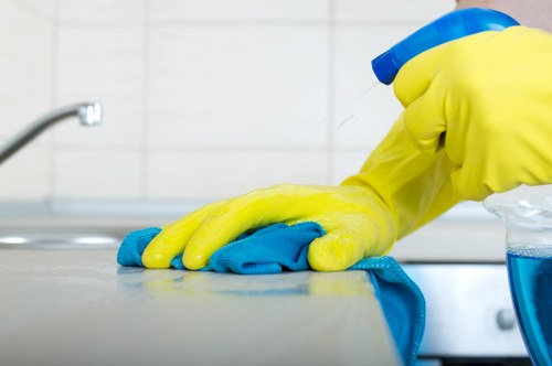 Reliable Crystal Palace cleaners delivering a clean and comfortable space