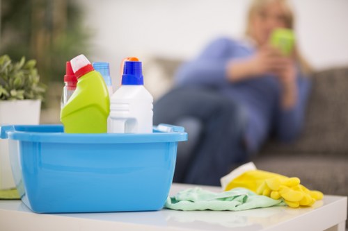 Domestic cleaning tools and supplies for Crystal Palace properties