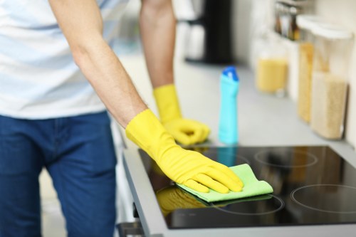 Pet hair removal from upholstery during sofa cleaning