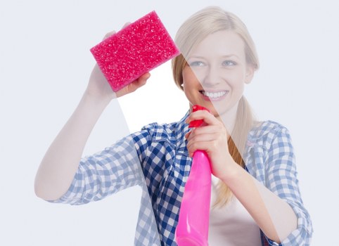 Crystal Palace property receiving detailed deep cleaning and dust removal