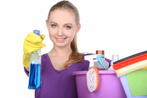 Deep carpet cleaning service in Crystal Palace for a living room floor