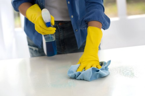 Grease removal and polishing during oven cleaning service